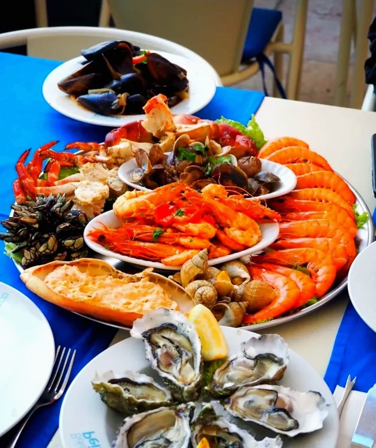 国际比赛日葡超传出新动向，皇家马德里造点机会，管理层表态：管理层满意，纪律约束更严格的简单介绍